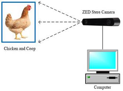 Leveraging SOLOv2 model to detect heat stress of poultry in complex environments